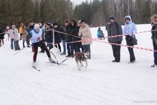 Ездовой спорт