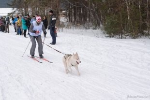 Ездовой спорт