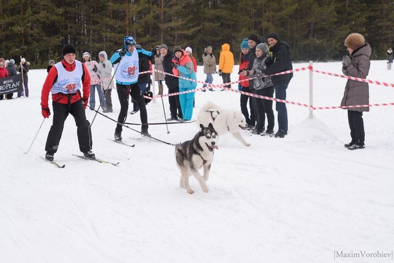 Ездовой спорт