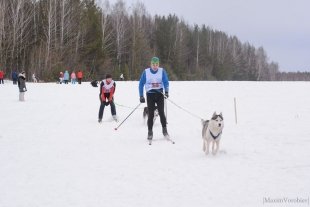 Ездовой спорт