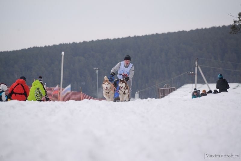 Ездовой спорт