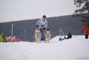 Ездовой спорт