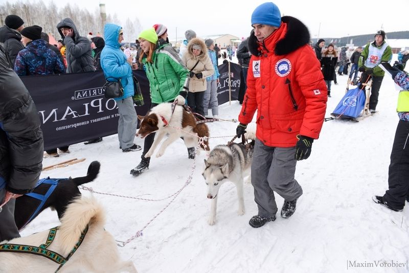 Ездовой спорт