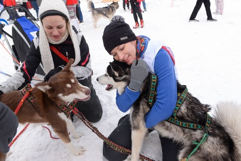 Ездовой спорт