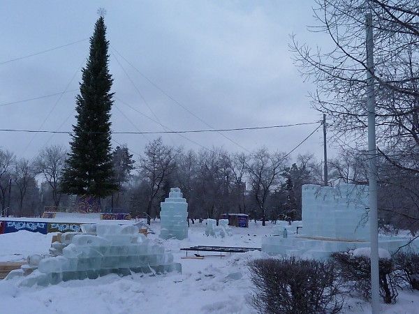 Омская елочка одна из самых высоких в Сибири