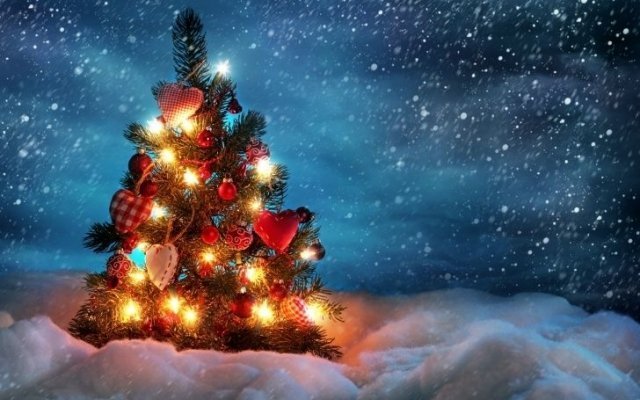 Елочка, гори, или С Новым годом!