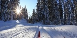 Уступите лыжню! Где в Челябинске кататься на лыжах 