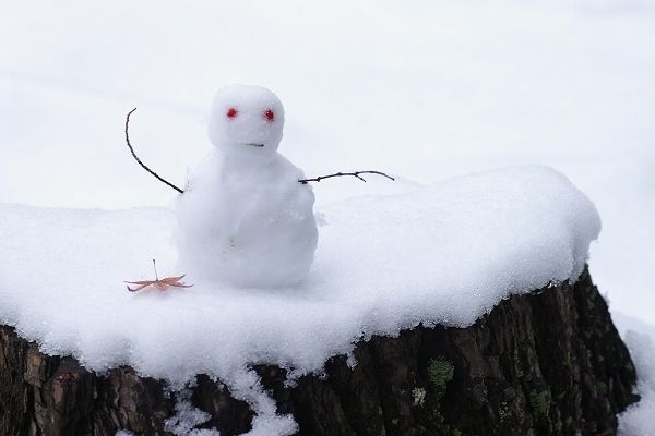 18 января - Всемирный день снега!