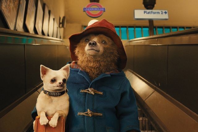 «Приключения Паддингтона» (Paddington)