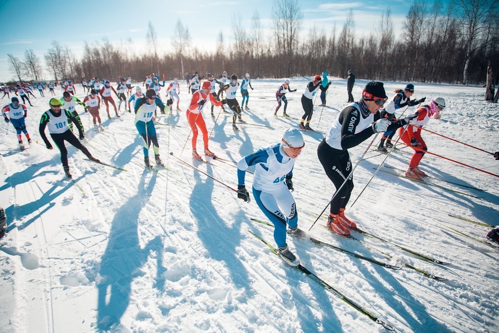 Спорт лыжные гонки