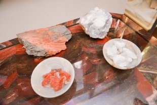 Выставка соли