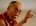dalai-lama666