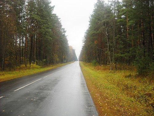 В Сургуте проложат новую объездную трассу к дачным кооперативам «Черемушки», «Север-1» и «Север-2»