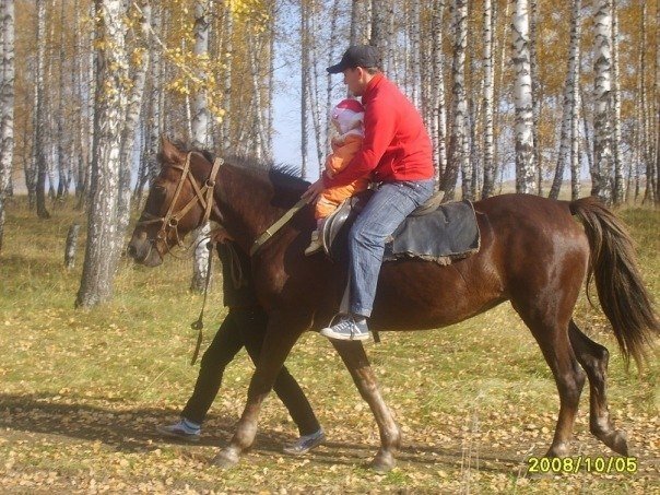 Cергей Соколов