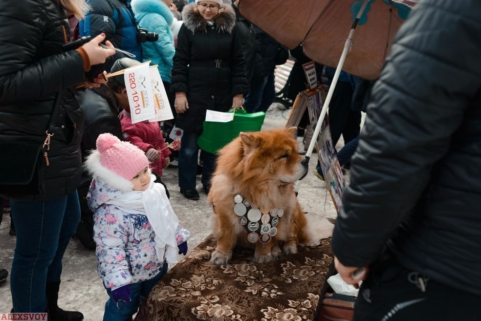 Яркая масленица в горсаду им. Пушкина