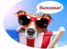 Выходные дома – для слабаков