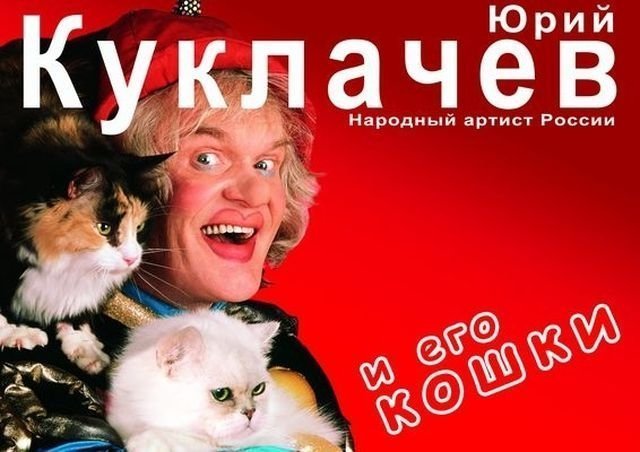 Ростовчан порадуют дрессированные коты Куклачева