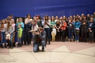 Автограф-сессия с Антоном Шипулиным