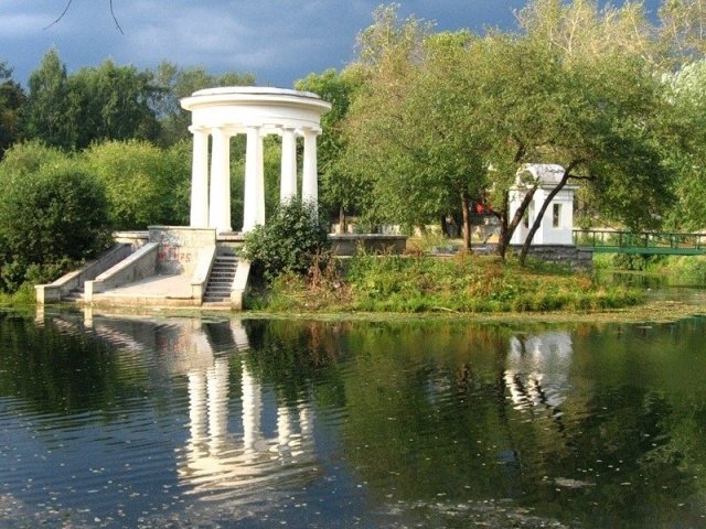 В Харитоновском парке будут считать воробьев 