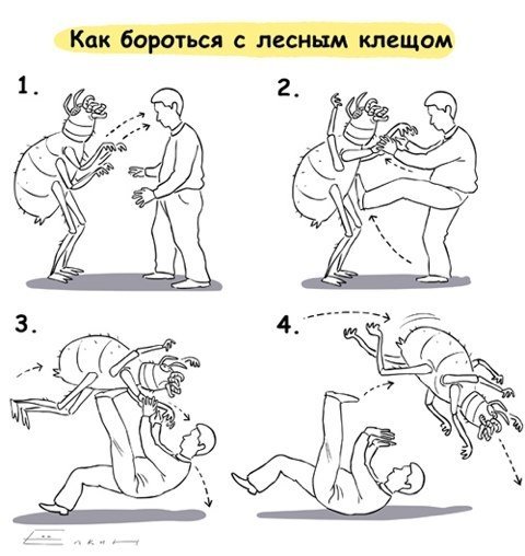 Где поставить прививки от клещей