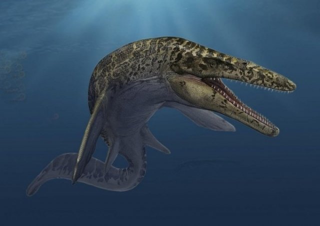 Возле реки Теча нашли останки гигантского древнего ящера мозазавра 