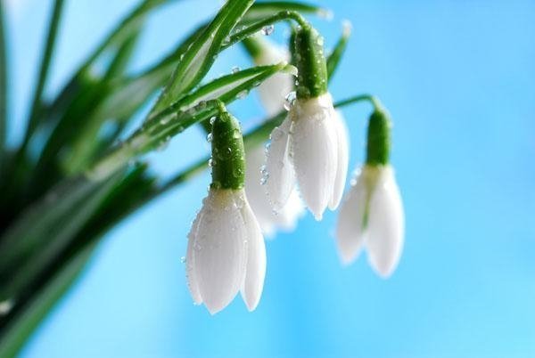 Выходные в Тюмени: куда пойти 25 и 26 апреля?