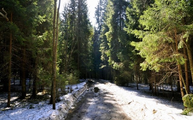 Самое время отдыхать за городом