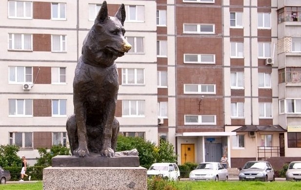 Завтра в Тольятти выйдет фильм о псе-памятнике «Костя»