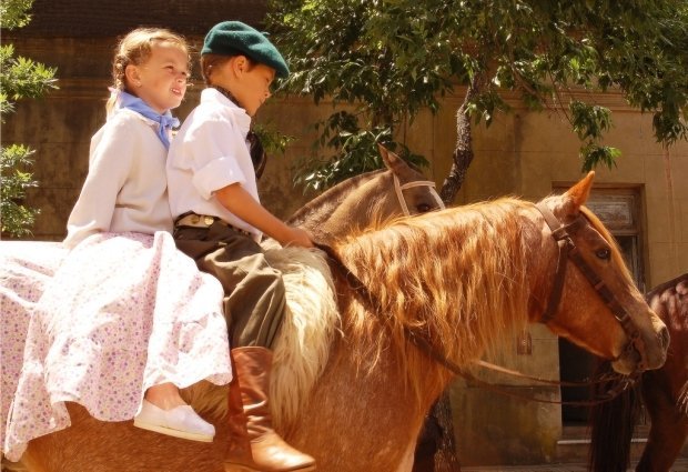 1 мая детки смогут бесплатно покататься на лошадях