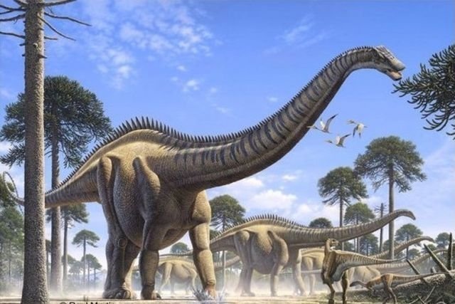 В Китае нашли останки динозавра, жившего 126 миллионов лет назад