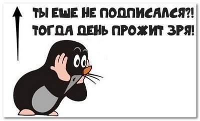 Пять самых многолюдных пабликов