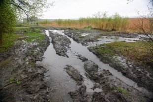 Майская прогулка