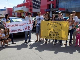 6 июня в Сургуте состоялся Всероссийский автопробег в защиту животных «Стерилизации –ДА! Убийству – НЕТ!»