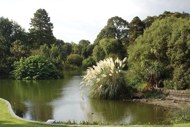 Королевский ботанический сад, Мельбурн, Австралия