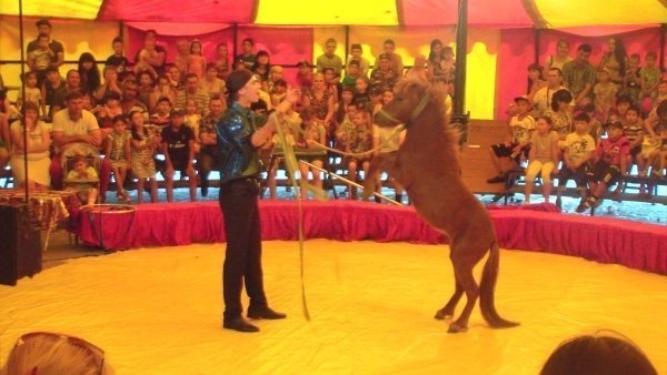 Шапито гастролирует в Майкудуке и Пришахтинске