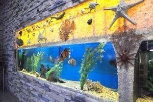 Пять заведений с аквариумами