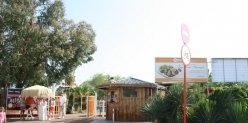 В Сочи на месте легендарного клуба Malibu открылось пляж-кафе Apelsin