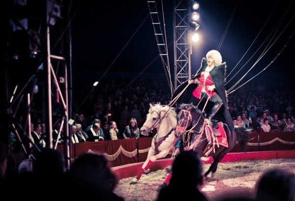 Для горожан в Столичном цирке приготовили завораживающие представления!