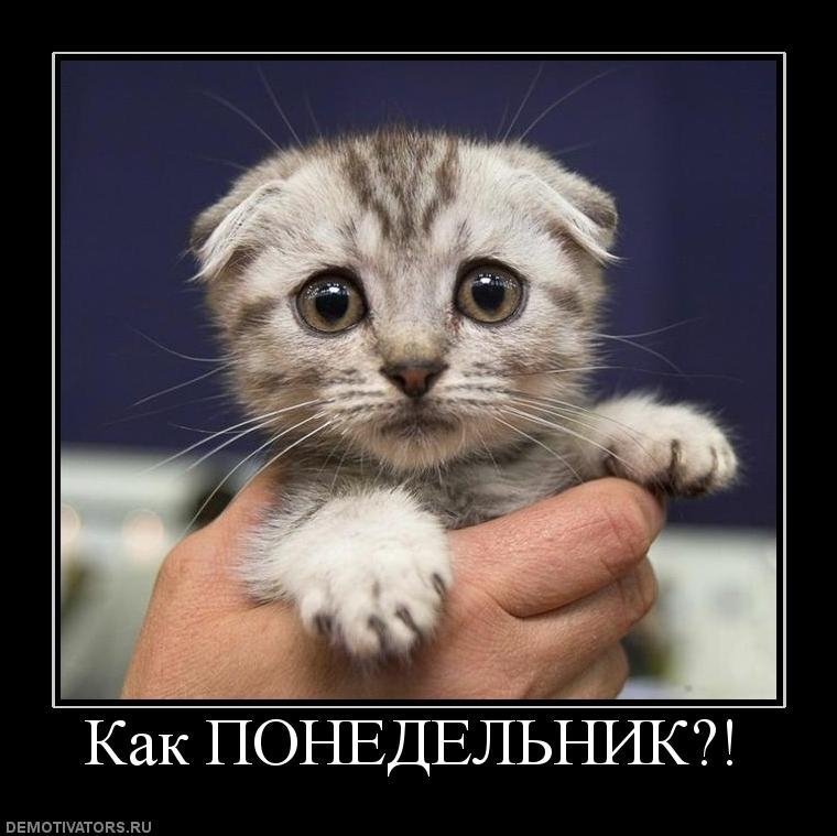 Понедельник - день тяжелый