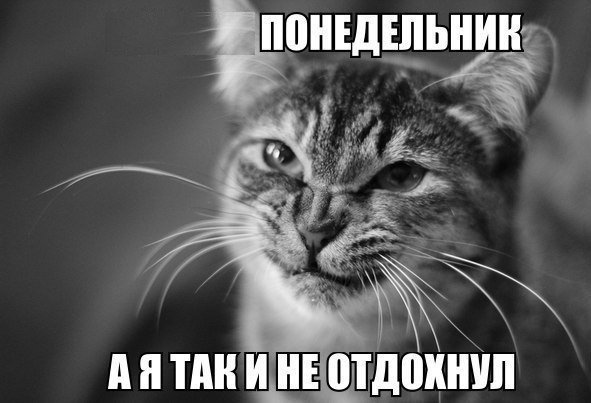Понедельник - день тяжелый