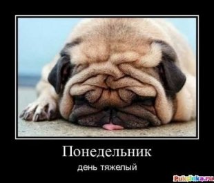 Понедельник - день тяжелый