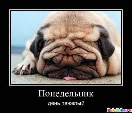 Понедельник - день тяжелый