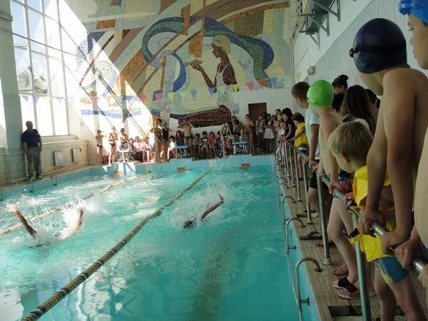 Ребят из пришкольных лагерей учили плавать юные чемпионы области