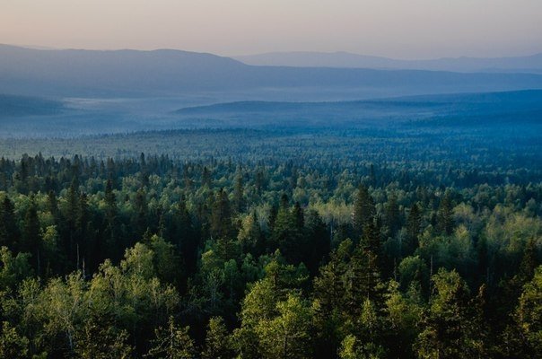 В отеле SMOLINOPARK спланируют развитие внутреннего туризма