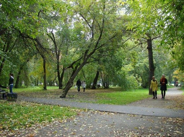 В Зелёной роще заработают новые фонари