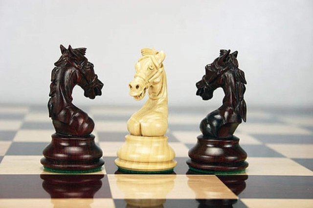 Необычный шахматный турнир прошел в Сургуте 