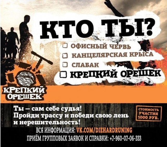 Кто станет Крепким орешком?