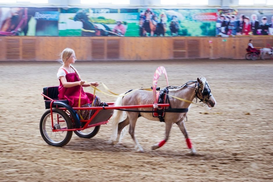 Уральская региональная конная выставка UralHorse-2015