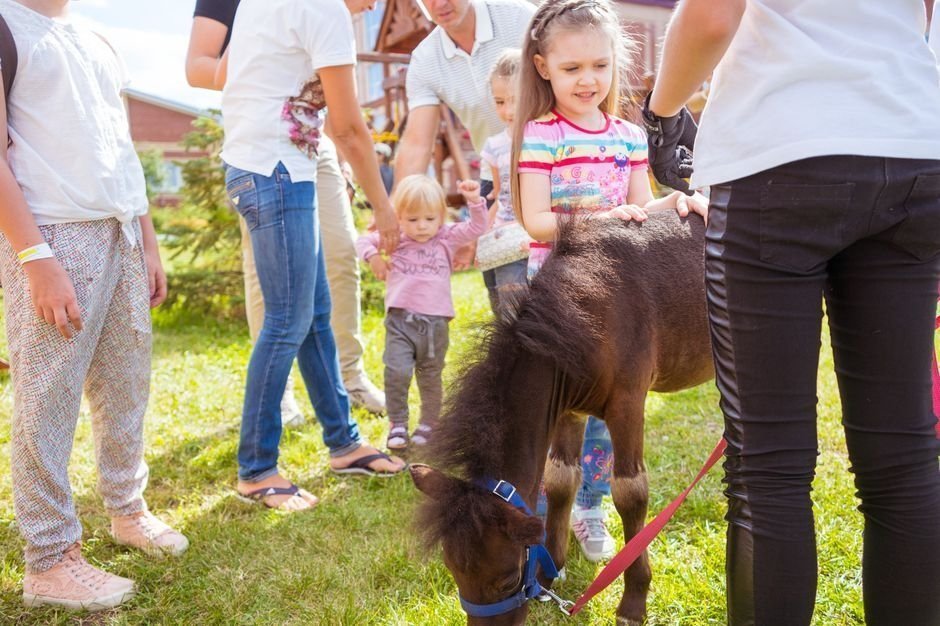 Уральская региональная конная выставка UralHorse-2015