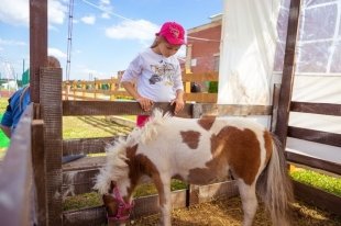 Уральская региональная конная выставка UralHorse-2015